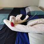 Piccola Stella